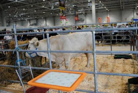 V агропромышленная выставка «Кубанская ярмарка 2015»